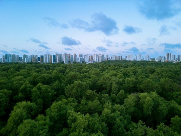 Slots Bally Authentiques Sur Android