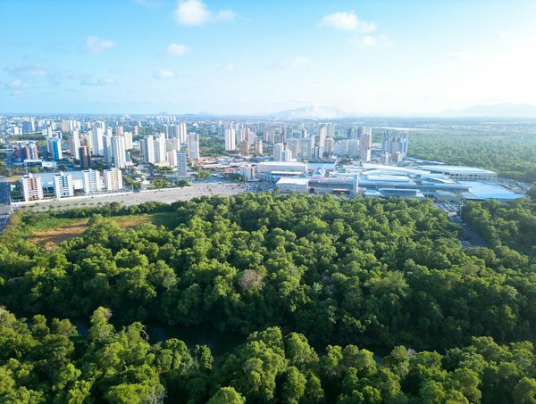 Slots Jackpot De Bovada