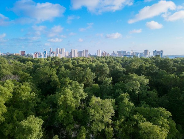Machine à Sous En Ligne Gratuits Sans Argent