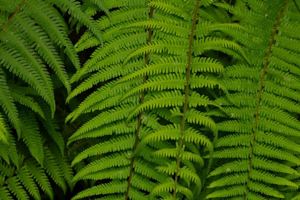 Vivemon Casino Fr 2025 Review