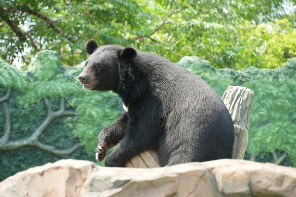 Sol Casino No Deposit Bonus