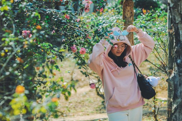 Cote Machine à Sous