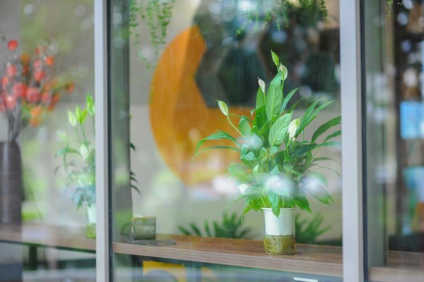 Slots De Luxe En Ligne