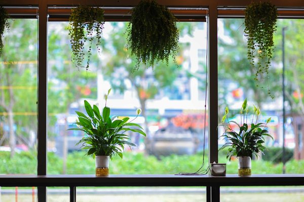 Machine à Sous Libre Sans Argent Sans Inscription