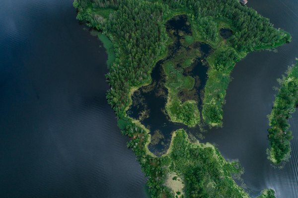 Slots Gratuits Coyote Moon