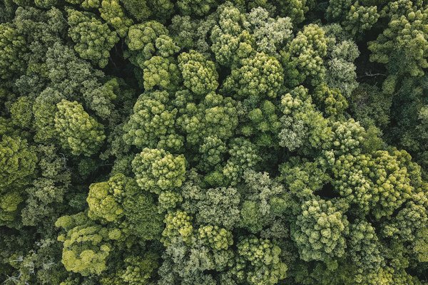 Slots En Ligne Réel Pour De L Argent